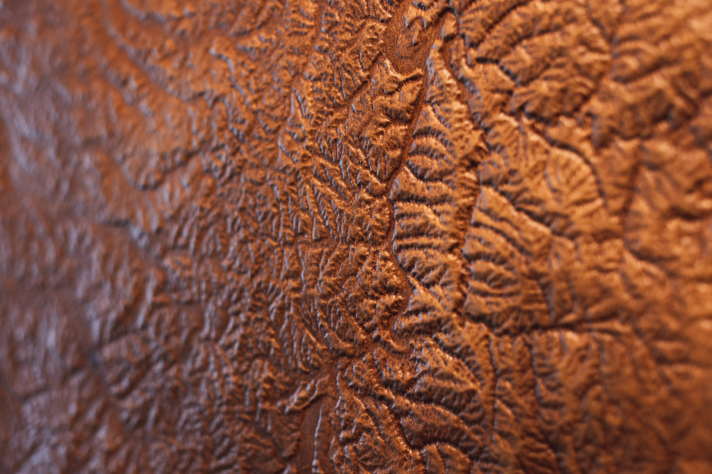 Leather Tennessee Terrain Map 54 x 20